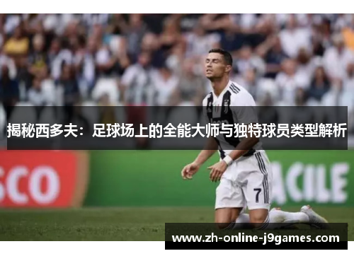揭秘西多夫：足球场上的全能大师与独特球员类型解析